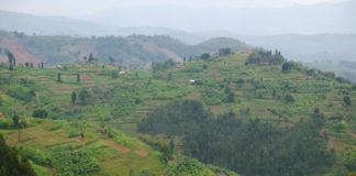 rwanda-1