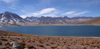 atacama-chile-wall