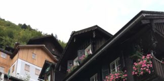 Hallstatt 5