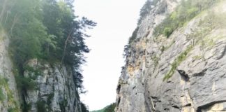 Aareschlucht 2